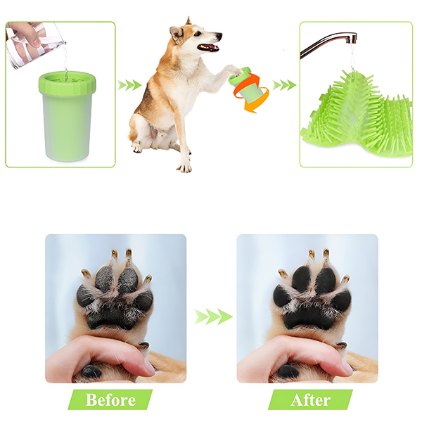 PAWSANI