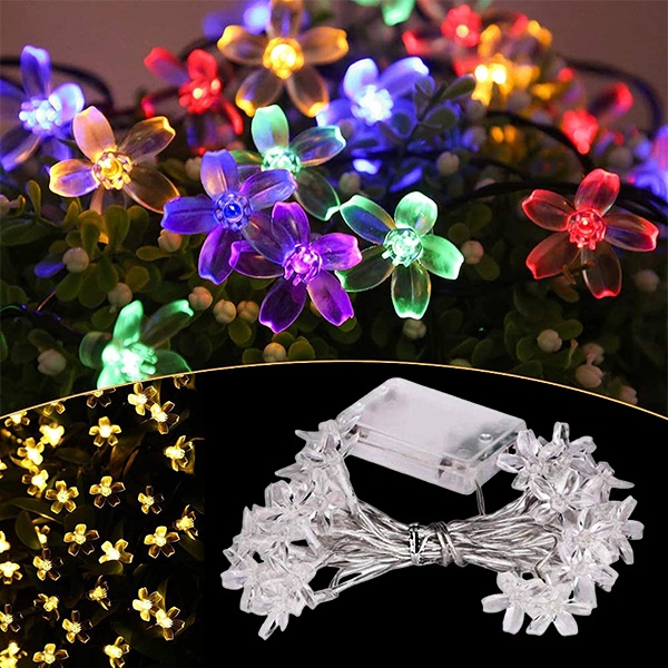 DAISYGLOW
