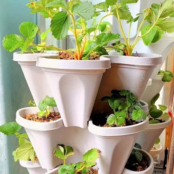 PLANTUP